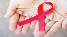 El evento cultural celebra 30 años con un espectáculo único el 1 de diciembre. El evento cultural celebra 30 años con un espectáculo único el 1 de diciembre.