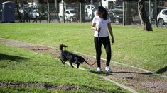 Adiós al frío: llega el calor previo a la primavera con máximas de 32 grados en Argentina Adiós al frío: llega el calor previo a la primavera con máximas de 32 grados en Argentina