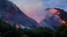 El fuego consumió bosques nativos y pastizales.