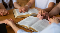 Santo Tomás de Villanueva, patrono del día, es un ejemplo de humildad y caridad, conocido por su entrega a los más necesitados. Santo Tomás de Villanueva, patrono del día, es un ejemplo de humildad y caridad, conocido por su entrega a los más necesitados.