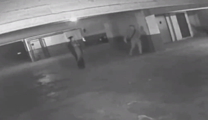 Una viuda negra durmió a un hombre y desvalijó su departamento en Mar del Plata.