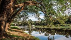Es una destino perfecto para conocer en enero y febrero. Es una destino perfecto para conocer en enero y febrero.