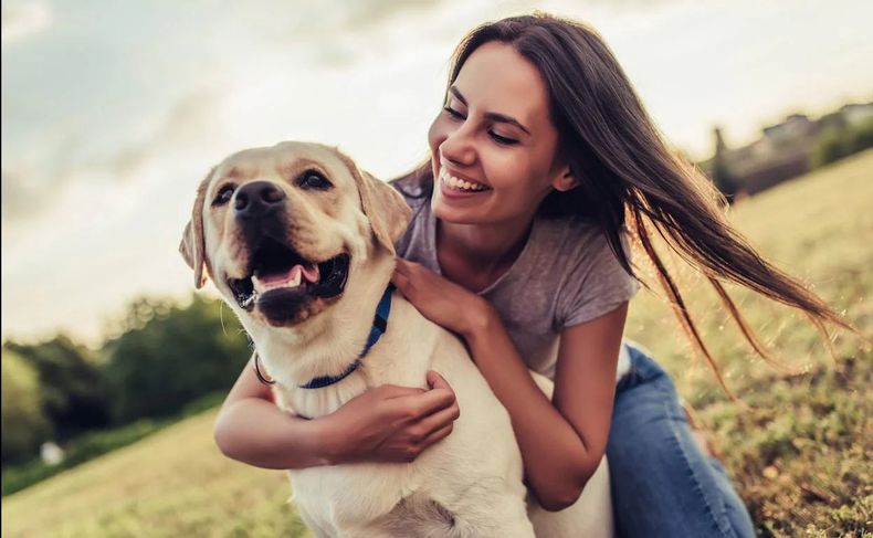 Un estudio de Harvard reveló que el vínculos entre los perros y las mujeres tienen efectos curativos y de sanación mental.