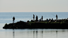 Un lugar ideal, a pocas horas de CABA, para aquellos que aman ir de pesca en zonas tranquilas. Un lugar ideal, a pocas horas de CABA, para aquellos que aman ir de pesca en zonas tranquilas.