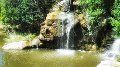 Naguan Tica, en Córdoba. Naguan Tica, en Córdoba.