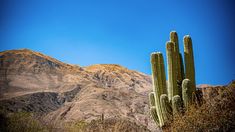 Un típico pueblo norteño, ideal para descansar y disfrutar de una comida típica: el tamal. Un típico pueblo norteño, ideal para descansar y disfrutar de una comida típica: el tamal.