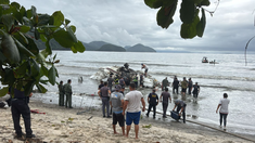 Las imágenes del accidente se viralizaron en redes sociales. Las imágenes del accidente se viralizaron en redes sociales.