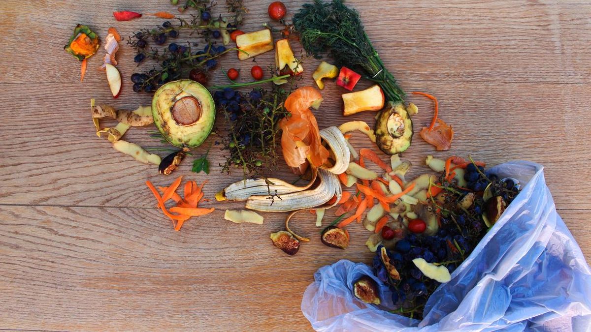 Estas son las cinco mejores ideas para reciclar alimentos en tu casa, image size:1200x675