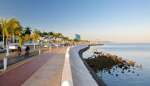 La Isla de Campeche se destaca por sus senderos que llevan a miradores naturales con vistas impresionantes