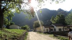 Entre sus principales atractivos llama la atención el famoso Bosque energético. Entre sus principales atractivos llama la atención el famoso Bosque energético.