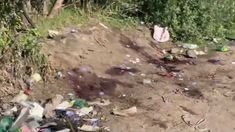 La escena del crimen. La escena del crimen.