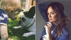 El dolor de Paula Chaves y Pedro Alfonso por la muerte de su perra El dolor de Paula Chaves y Pedro Alfonso por la muerte de su perra