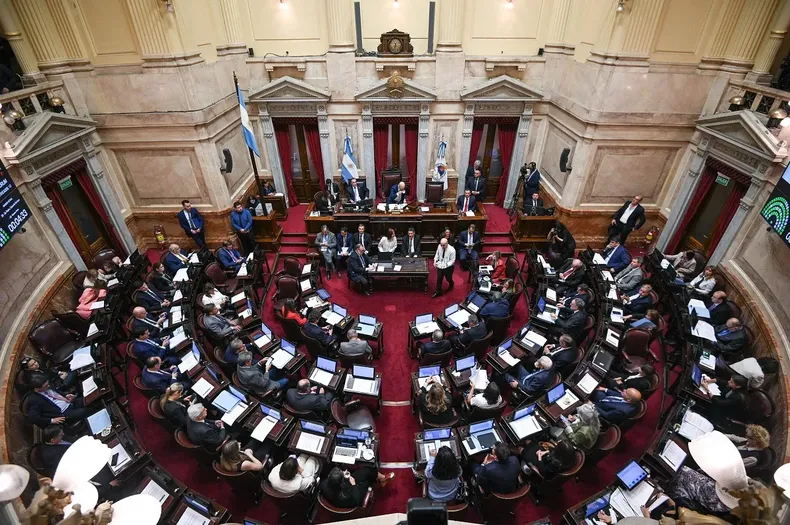 Los legisladores misioneros acompañaron a los 33 senadores de Unión por la Patria