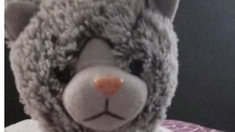 El oso terminó con su dueño, un niño pequeño con TEA. El oso terminó con su dueño, un niño pequeño con TEA.