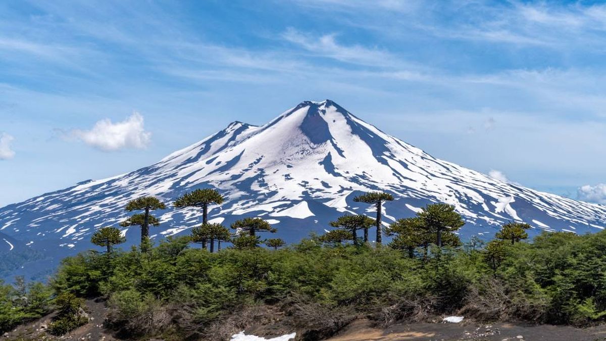Quién es Javier Álvarez, el argentino que encontraron con vida tras desaparecer en el volcán Llaima de Chile