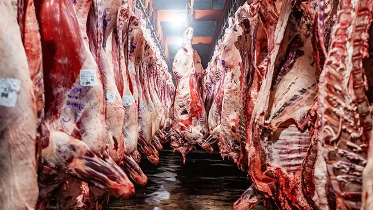 La carne subió un 6,9% en marzo y el consumo cayó a su nivel más bajo en 20 años
