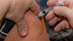 el gobierno bonaerense aseguro que habra vacunacion libre para toda la comunidad educativa el gobierno bonaerense aseguro que habra vacunacion libre para toda la comunidad educativa