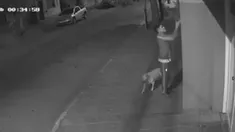 Robó una banera argentina y su explicación fue insolita. Robó una banera argentina y su explicación fue insolita.