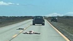 Ocurrió en la ruta CH-255, que conecta con Punta Arenas, cerca de San Gregorio. Ocurrió en la ruta CH-255, que conecta con Punta Arenas, cerca de San Gregorio.