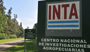 Fuerte ajustes y recortes en el INTA.&nbsp;