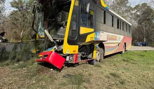 Así quedó el colectivo de la línea 202 que no logró esquivar el Ford Ka en Berisso.