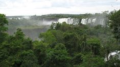 La selva misionera siempre ofrece diferentes actividades para realizar durante las vacaciiones. La selva misionera siempre ofrece diferentes actividades para realizar durante las vacaciiones.