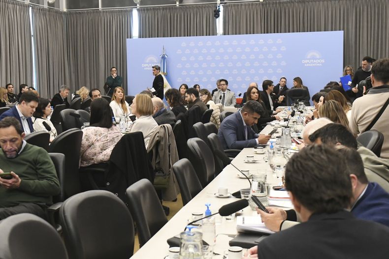 El plenario de comisiones de la Cámara de Diputados para lograr el dictamen de mayoría de los proyectos de morosidad.