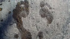 Encontraron huellas de la Edad de Hielo de hace más de 12.000 años. Encontraron huellas de la Edad de Hielo de hace más de 12.000 años.
