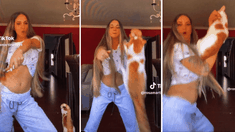 El gato volador: fue viral en TikTok. El gato volador: fue viral en TikTok.