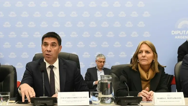 María Carmen Tettamanti en el plenario de comisiones anterior a la aprobación del proyecto en la Cámara de Diputados.