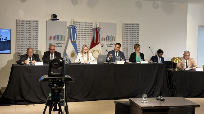 El tribunal, encabezado por la doctora Julieta Rinaldi e integrado por legisladores y una vocal del Tribunal Superior de Justicia, rechazó los planteos de nulidad de las defensas.
