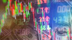 Los segmentos de renta variable y renta fija cerraron con caídas. Los segmentos de renta variable y renta fija cerraron con caídas.