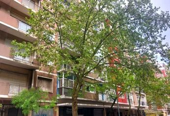 El edificio de la polémica se encuentra en Moreno entre Corrientes y Santa Fe, Mar del Plata.&nbsp;