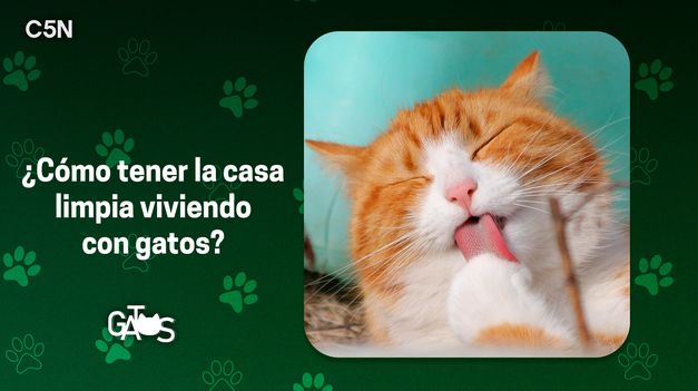 Tips simples para mantener la casa limpia y ordenada.