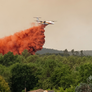 Un avión hidrante arroja agua mientras combate incendios forestales en la región de Lège-Cap-Ferret.