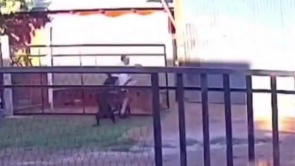 Video: feroz ataque de un perro a un nene de 11 años en Misiones