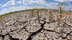 Según la ONU, La Niña podría extenderse por tercer período consecutivo y prolongar la sequía en esta parte del mundo.