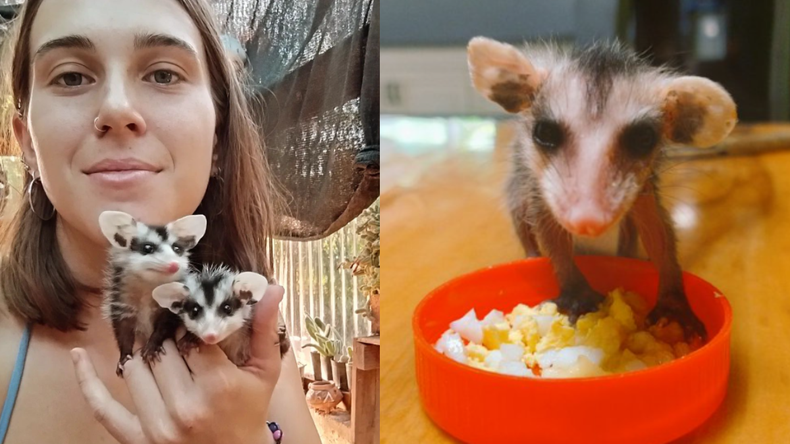 Agustina comparte el día a día de Sia y otros rescates en su cuenta @aaguvolpato.