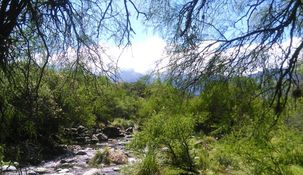 En Córdoba hay una Reserva Natural con senderos,&nbsp; zorros, pumas e iguanas.
