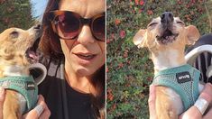 Manolo, el perrito charlatán que se hizo viral en las redes sociales. Manolo, el perrito charlatán que se hizo viral en las redes sociales.