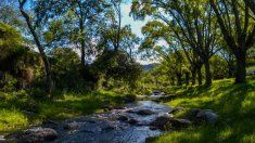 Si se busca un lugar con poca gente y mucha paz para descansar, este pueblo en Córdoba es el ideal. Si se busca un lugar con poca gente y mucha paz para descansar, este pueblo en Córdoba es el ideal.
