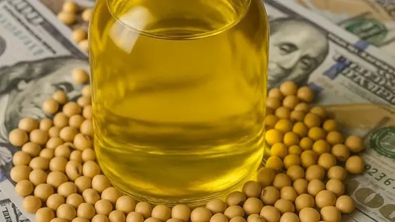 India realizó compras récord de aceite de soja argentino tras la baja de retenciones