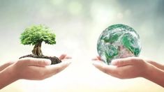 Cuidar el medio ambiente, responsabilidad de todos. Cuidar el medio ambiente, responsabilidad de todos.