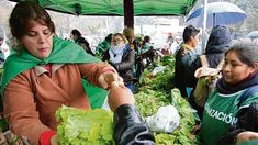 La reducción del 60% en el padrón de monotributistas sociales explicó la caída en el empleo registrado en diciembre.