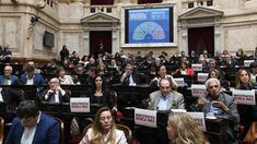 La Cámara de Diputados debatió la reforma a la ley de DNU.