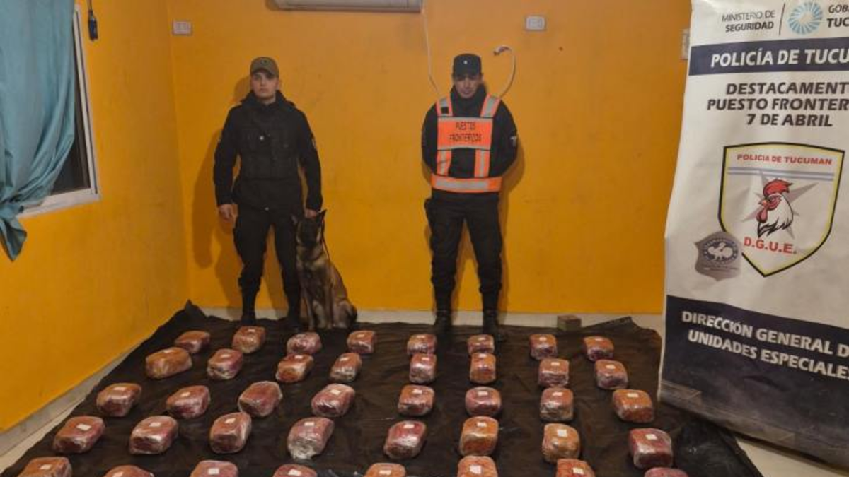 Tucumán: incautaron 48 kilos de marihuana transportada en micros de larga distancia