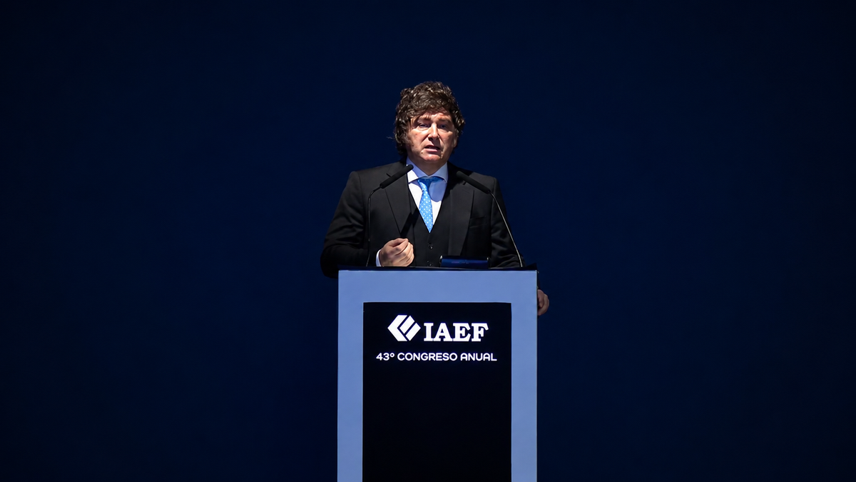 Javier Milei: "El año que viene, en octubre, los vamos a pasar por arriba"