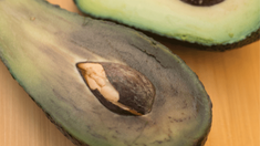 Un sencillo truco permite retrasar la oxidación de la palta y conservar su aspecto y consistencia por más tiempo.