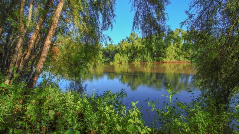 El Parque Nacional Islas de Santa Fe, ubicado en la provincia de Santa Fe, se dedica a la protección de una muestra representativa de los humedales de la ecorregión Islas y Delta del Paraná