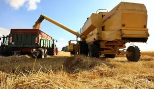 Primer embarque de trigo argentino a China abre un nuevo canal de exportación. Primer embarque de trigo argentino a China abre un nuevo canal de exportación.